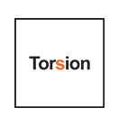 Torsion Group